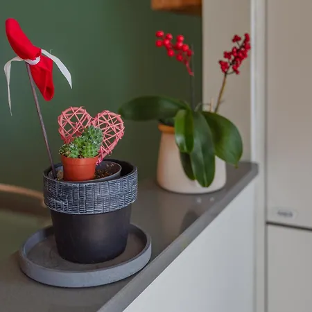 La Finestra Sulla Mole *